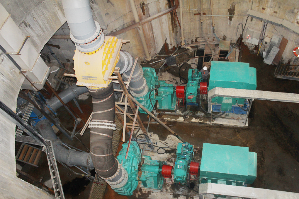 ��ҳ | 304am�����������޹�˾����