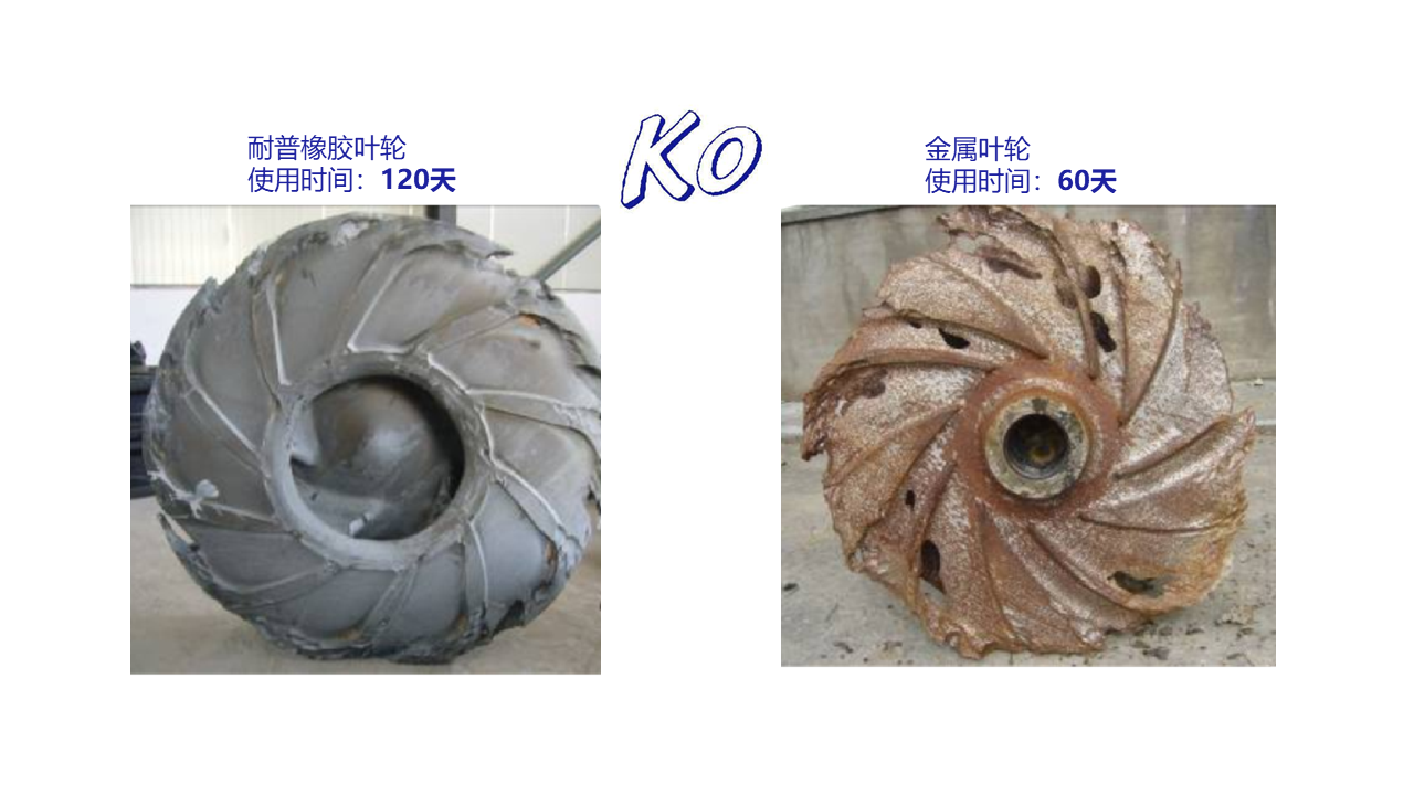 ��ҳ | 304am�����������޹�˾����