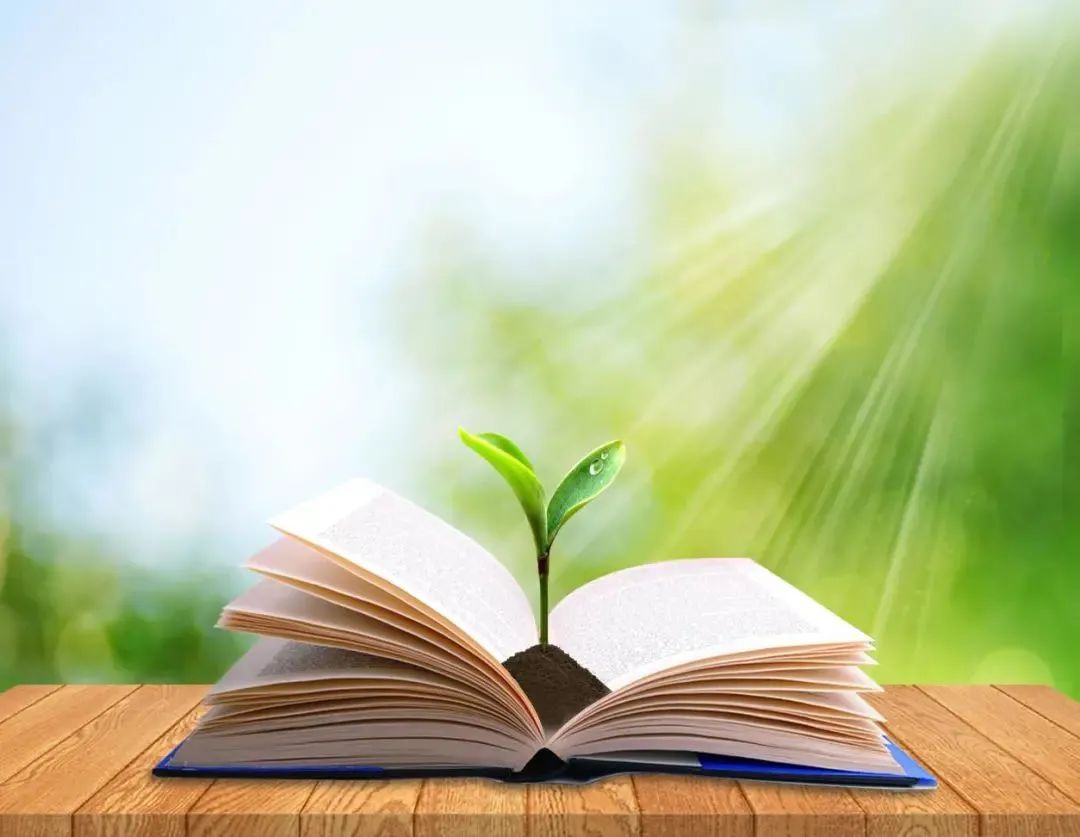 fd44f6c2a301632a3116e019416e685e