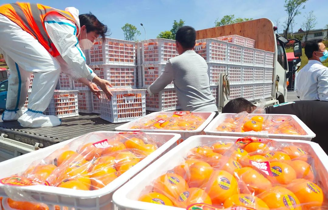 dc2e772c11edc037cd3ea2959cffa2d7