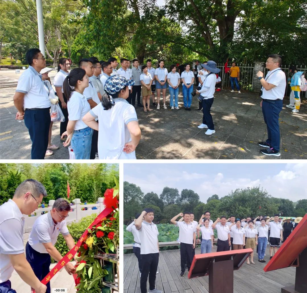 b6d19852402d32927db3520956e2d952