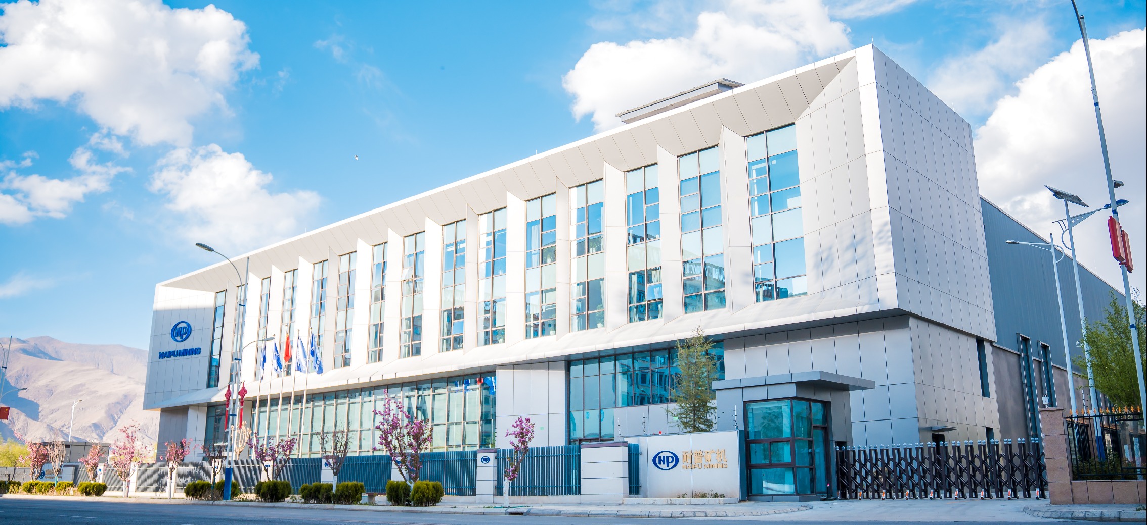 41f2a82c5255ce6c289237c9bdbba0ba